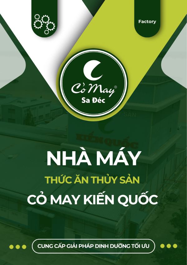 Catalogue NM Kiến Quốc