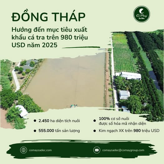 Đồng Tháp hướng đến mục tiêu xuất khẩu cá tra trên 980 triệu USD năm 2025