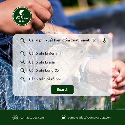 Chuyên mục Hỏi - Đáp cùng bà con nuôi cá
