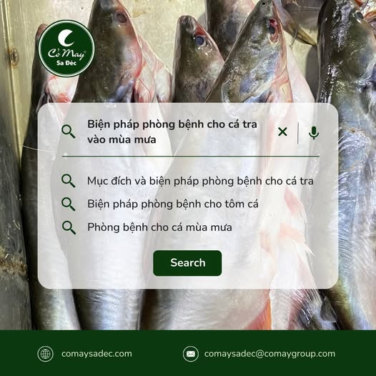 Chuyên mục Hỏi - Đáp cùng bà con nuôi cá