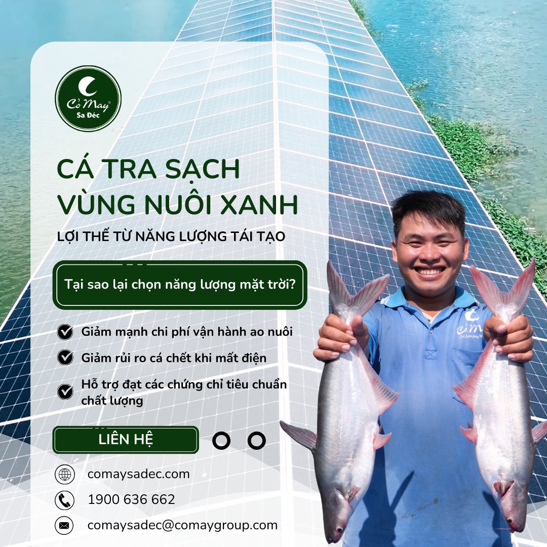 Vùng nuôi xanh - cá tra sạch: Lợi thế từ năng lượng tái tạo