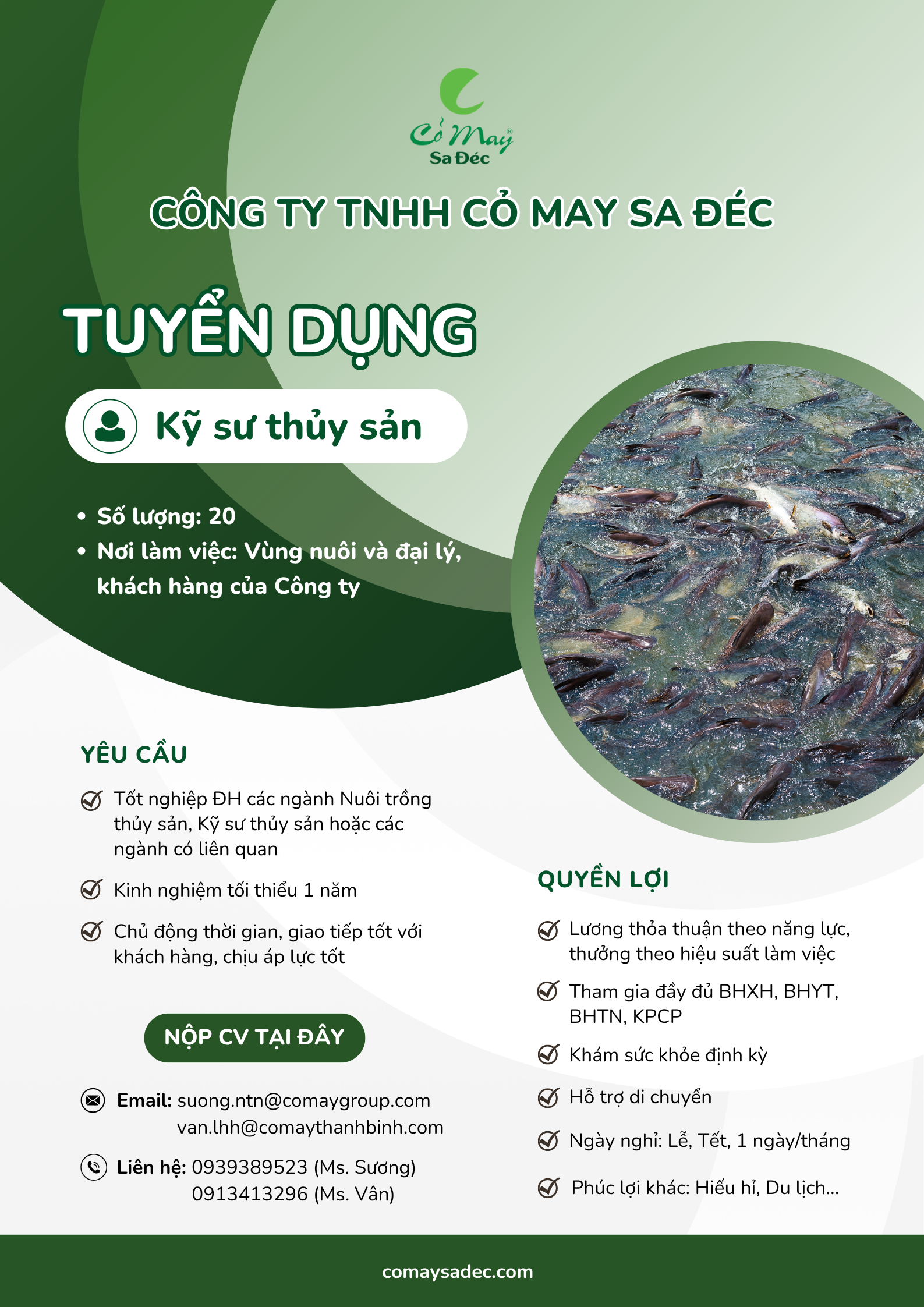 Thông báo tuyển dụng nhân sự tháng 8/2026
