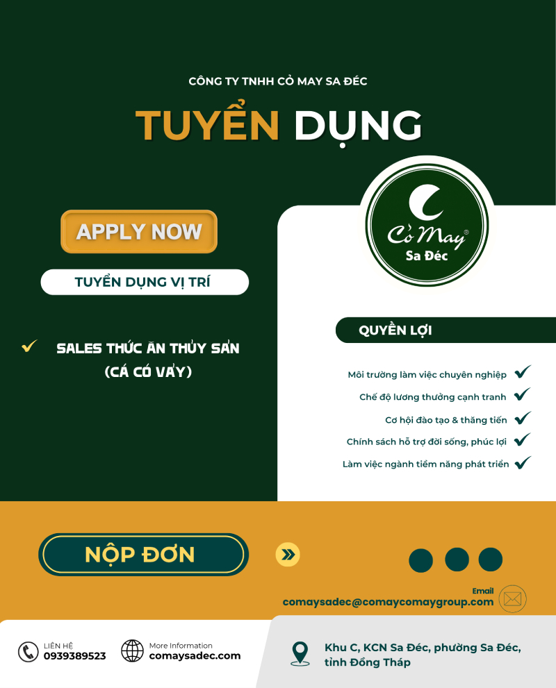 Thông báo tuyển dụng nhân sự tháng 8/2025