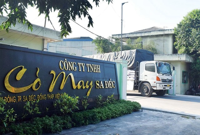 Công ty TNHH Cỏ May Sa Đéc đang phát triển mạnh mẽ